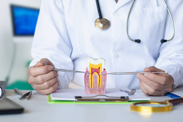 Best Same-Day Emergency Dental Services in Edgefield, SC